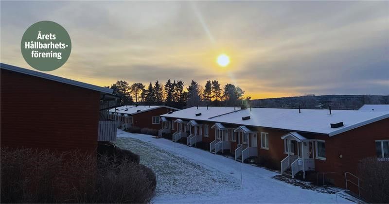 Brf Brunflohus nr 3 i Brunflo utsedd till lokal vinnare i Årets hållbarhetsförening 2025  