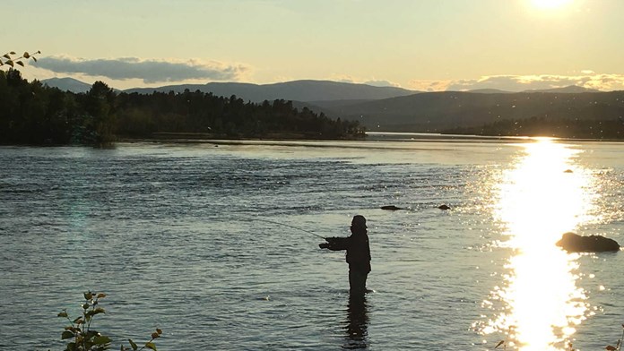 Fiske i fjällen